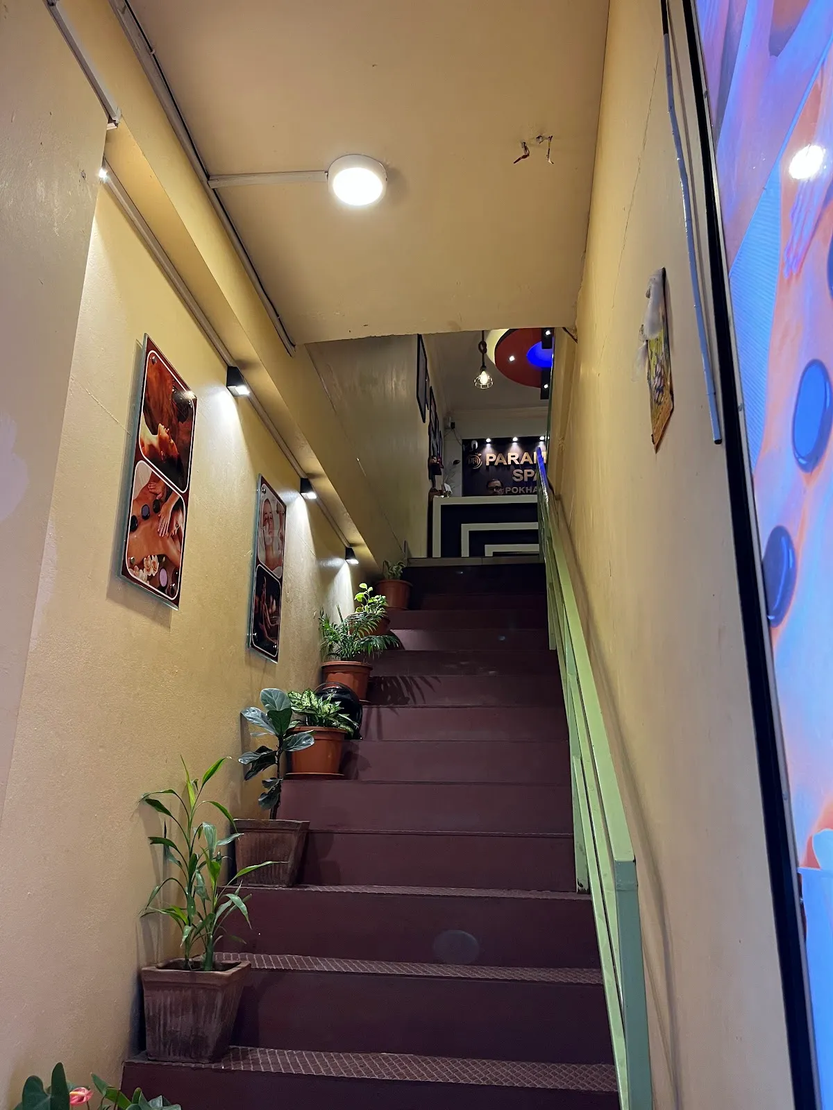The plant-lined stairwell entrance leading up from Lakeside Road